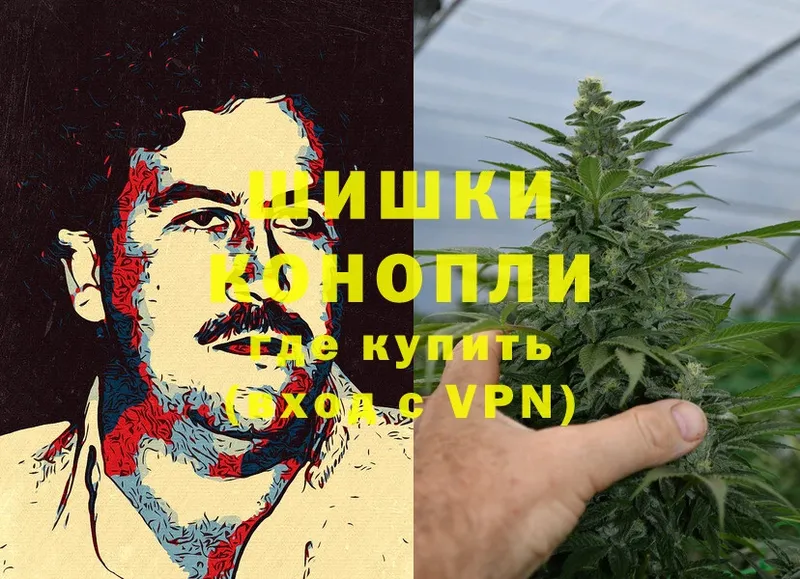 Конопля OG Kush  Батайск 